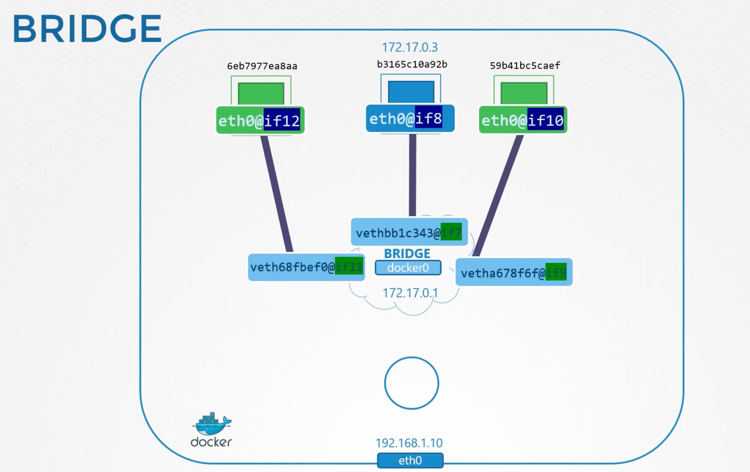 Docker Bridge Network