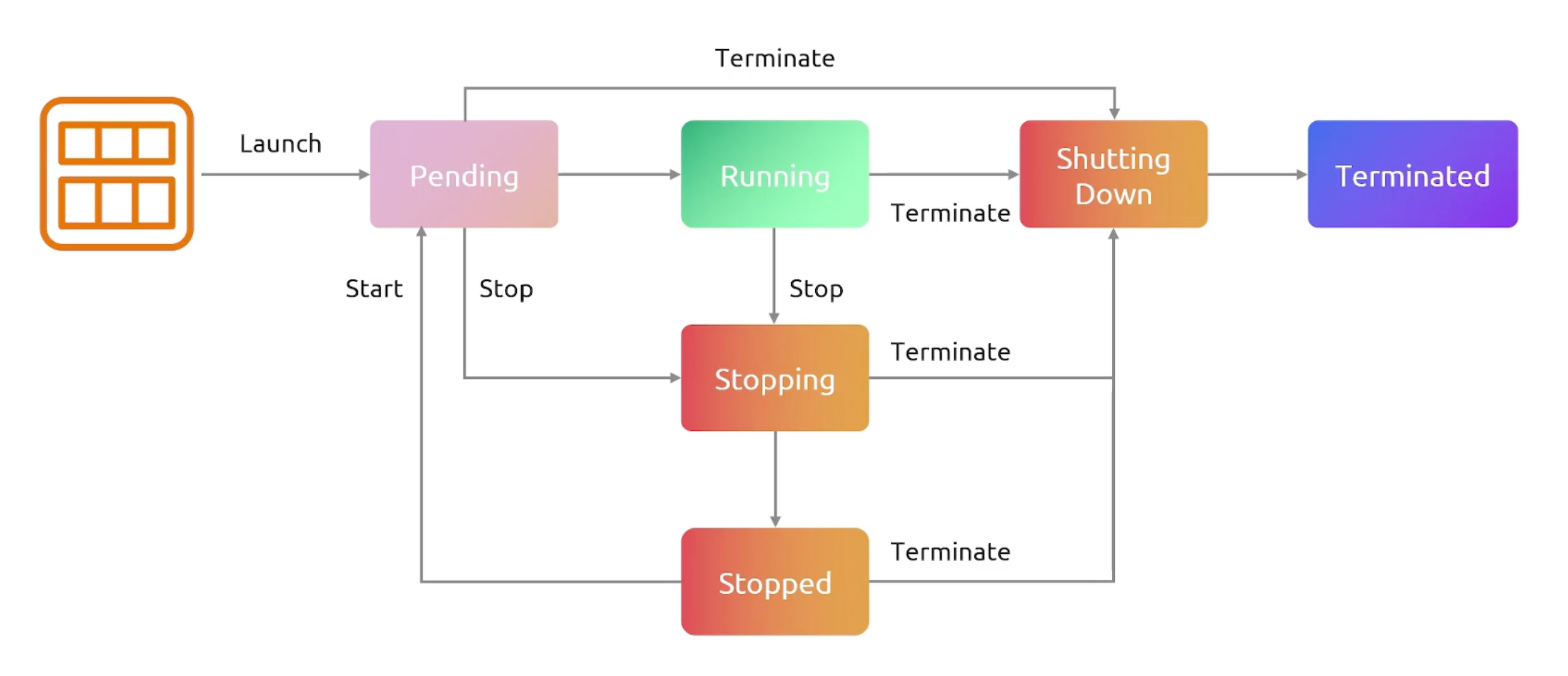 lifecycle